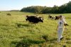 Reshaping Supply Management in the US: Looking North and South for Inspiration